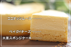 COCO大豆フロマージュ　（ホール4号）